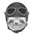 Portrait of Sloth with Vintage Helmet.