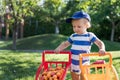 Portrait of small caucasian cute blond toddler boy holding toy shopping cart full of sweet ripe apricots against green Royalty Free Stock Photo