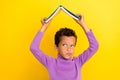 Portrait of small creative minded clever person hold book above head roof look empty space isolated on yellow color Royalty Free Stock Photo