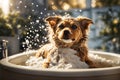 portrait Small dog being washed in bath tube. ai generative