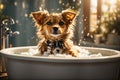portrait Small dog being washed in bath tube. ai generative