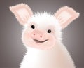 Portrait of small Furry Pink Cute smiling Piggy. Vector illustration