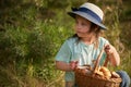 Portrait of a small mushroom picker in a straw hat with a full basket of mushrooms against a background of a pine tree.