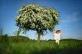 Small toddler girl walking on meadow outdoors in summer. Copy space. Royalty Free Stock Photo