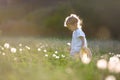 Small toddler girl walking on meadow outdoors in summer. Copy space. Royalty Free Stock Photo