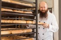 Portrait of smiling adult baker with long beard in white uniform standing in his workplace and pushing baking tray of bread in the Royalty Free Stock Photo