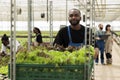 Portrait of smiling african american man pushing rack of crates with locally grown organic food