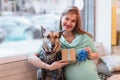 Portrait of smiling Caucasian woman in cafe with her dog in sweater. Pregnant woman is holding gift box and blue knitted bootee Royalty Free Stock Photo