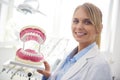 Portrait of smiling dentist showing an artificial dentures