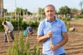 Smiling elderly man amateur gardener standing in home vegetable garden Royalty Free Stock Photo