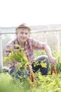 Portrait of smiling farmer harvesting fresh carrots at farm Royalty Free Stock Photo