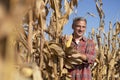 Portrait of Smiling Farmer with Ripe Corncob in Cornfield