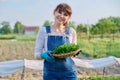 Portrait of smiling farmer woman with basket of parsley herbs looking at camera Royalty Free Stock Photo