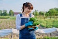 Portrait of smiling farmer woman with basket of parsley herbs Royalty Free Stock Photo