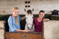 Portrait of smiling female vet with woman standing by horse Royalty Free Stock Photo