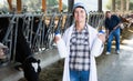 Female veterinarian holding cow milk at cowshed on dairy farm Royalty Free Stock Photo