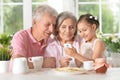 Grandparents with granddaughter using smartphone