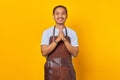 Portrait of smiling handsome Asian young man wearing apron greeting customer with big smile on his face isolated on yellow Royalty Free Stock Photo