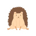 Portrait of smiling lovely hedgehog vector flat illustration. Joyful childish forest animal sitting isolated on white