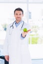 Portrait of a smiling male doctor holding an apple Royalty Free Stock Photo