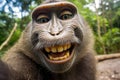 Portrait of a smiling monkey. Generative AI Royalty Free Stock Photo