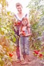 Portrait of smiling mother and daughter standing amidst tomato plants at farm