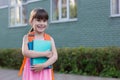 Portrait of smiling school girl with books isolated on a school background