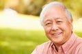 Portrait Of Smiling Senior Asian Man Sitting In Park Royalty Free Stock Photo