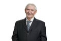 Portrait of smiling senior businessman. Royalty Free Stock Photo