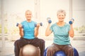 Portrait of smiling senior couple holding dumbbells Royalty Free Stock Photo