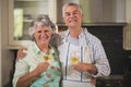 Portrait of smiling senior couple holding wine glasses while standing in kitchen Royalty Free Stock Photo