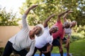 Portrait of smiling senior friends exercising with arms raised