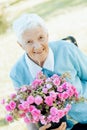 Portrait of smiling senior woman garndmother holding a purple flower pot outdoors Royalty Free Stock Photo
