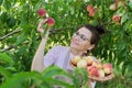 Portrait of smiling woman with basket of fresh peaches, tree with ripe peaches background Royalty Free Stock Photo