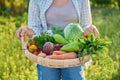 Portrait of smiling woman with basket of different fresh vegetables and herbs