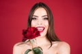 Portrait of a smiling woman with a rose flower. Beauty fashion model woman face. Portrait of a beautiful young girl with Royalty Free Stock Photo