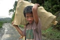 Portrait of smiling, working, Filipino boy Royalty Free Stock Photo