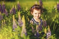 Portrait of smiling 5 years old girl in blooming lupins field in sunset time. Sunny evening in end of spring. Flowers of lupins Royalty Free Stock Photo