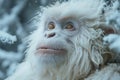 Portrait of a snow-white yeti in a snowy forest Royalty Free Stock Photo