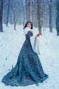 Portrait of Snow White Royalty Free Stock Photo