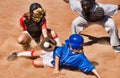 Portrait of Softball player sliding into home plate while umpire rules safe Royalty Free Stock Photo