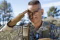 Portrait Of Soldier Saluting Royalty Free Stock Photo