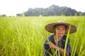 Portrait, space and an asian man rice farmer in a field for sustainability in the harvest season. Plant, agriculture and