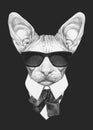 Portrait of Sphynx Cat in suit. Hand-drawn illustration.