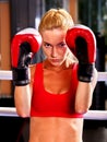 Portrait of sport girl boxing. Royalty Free Stock Photo