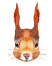 Portrait of Squirrel.