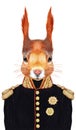 Portrait of Squirrel in military uniform. Royalty Free Stock Photo