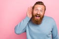 Portrait of staring impressed excited guy with red beard wear blue pullover arm near ear hear secret isolated on pink