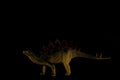 Portrait of stegosaur - extinct dinosaur - isolated on black background Royalty Free Stock Photo