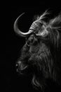 portrait studio photograph of gnu black and white Royalty Free Stock Photo